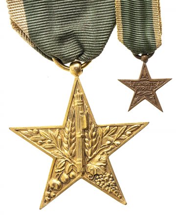 ITALIA, REGNO - STELLA AL MERITO RURALE E MINIATURA