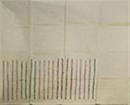 Giorgio Griffa Senza titolo 1976