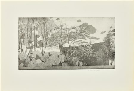 Federica Galli LA CITADELA incisione su carta, battuta cm 28x50, foglio cm...