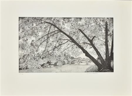 Federica Galli EL VALENTIN incisione su carta, battuta cm 28x50, foglio cm...