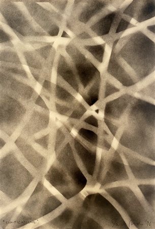 NIDO DAVIDE Senago (Mi) 1966 Ramificazione 1996 Mista intelata 50,00x34,50...