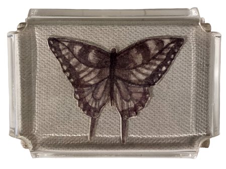 CUOGHI VANNI Genova (Ge) 1966 Batterfly Mista su carta applicata su tela...