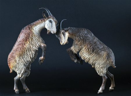 Lotto composto da due capre