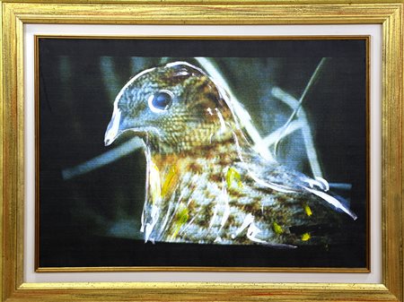 Mario Schifano, L'apparizione, 1990-1997