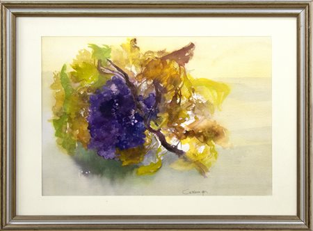 Giancarlo Cazzaniga, Uva, 1995