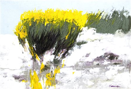 Giancarlo Cazzaniga, Ginestre al Conero, anni 2000