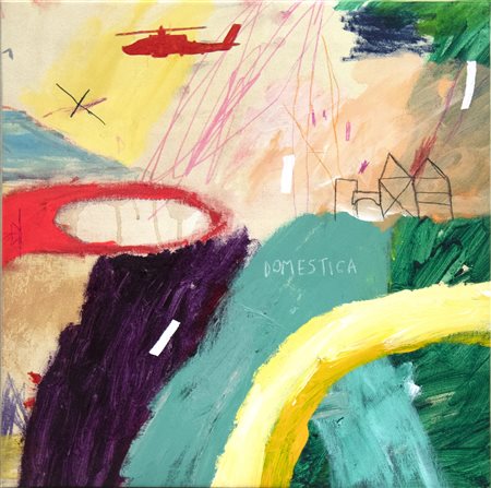 Daniele Nalin, Domestica