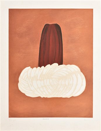 Aldo Mondino SELIM I incisione su carta Fabriano, battuta cm 64,5x48,5, su...