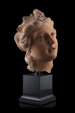Artista romano, seconda metà del secolo XVII "Testa di Diana" terracotta (h. cm