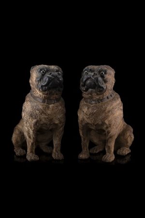 Coppia di bulldog in terracotta dipinta in policromia con occhi in vetro. Secol