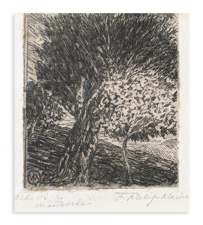 FELICE MELIS MARINI (1871-1953) -Ulivi e Mandorle