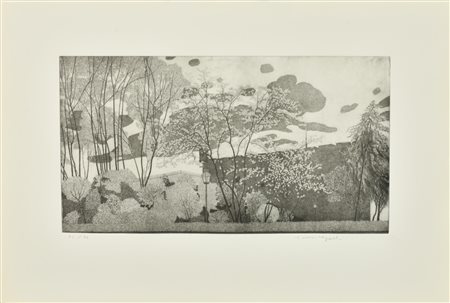 Federica Galli LA SITADELA incisione su carta, battuta cm 28x50, foglio cm...