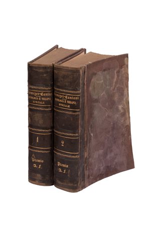 Patologia e Terapia Speciale Basata Specialmente Sui Recenti Progressi Della Fisiologia e Dell'anatomia Patologica 
 