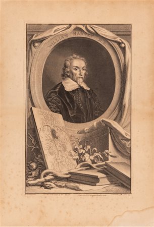 Anonimo Ritratto originale in incisione su rame del medico inglese William Harvey 1739