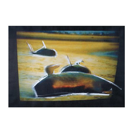 Mario Schifano, Senza titolo