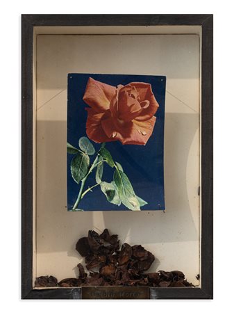 CHRISTIAN TOBAS (1944) - Petite nature morte en forme de rose, 1972