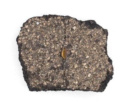 MIRELLA BENTIVOGLIO (1922-2017) - Libro della strada, 1995