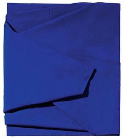 Cesare Berlingeri Cittanova (Rc) 1948 Piegare oltremare, 2007 Olio e pigmenti...