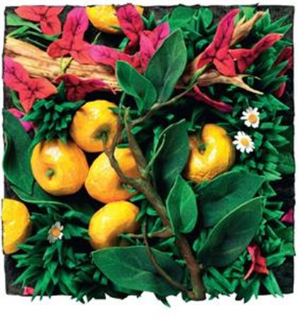 Piero Gilardi Torino 1942 Mandarini e vite vergine, (2001) Poliuretano...