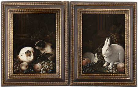 AMBITO DI FRANZ WERNER VON TAMM, PRIMA METÀ XVIII SECOLO 