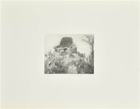 Federica Galli IL TULIPIER incisione su carta, battuta cm 24x18, foglio cm...