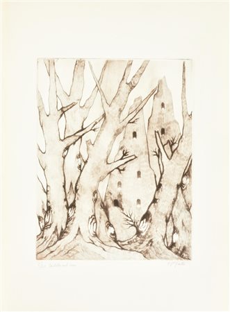 F. P. Giulio CASTELLO NEL BOSCO incisione su carta, battuta cm 30x23, su...