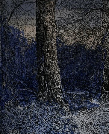 ANNA TONELLI, Lo spazio ha una sua solitudine, 2020