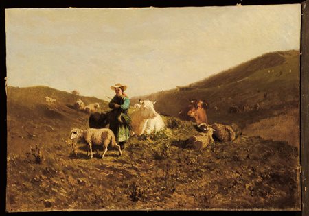 Pittara Carlo, Pastorella con mucche e pecora
