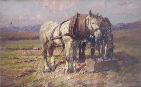 Lupo Alessandro, Cavalli