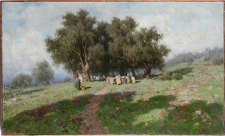 Lojacono Francesco, La raccolte delle olive