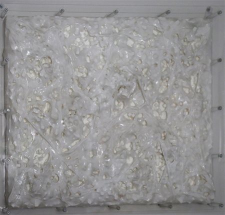 FRANCESCA PASQUALI
B01