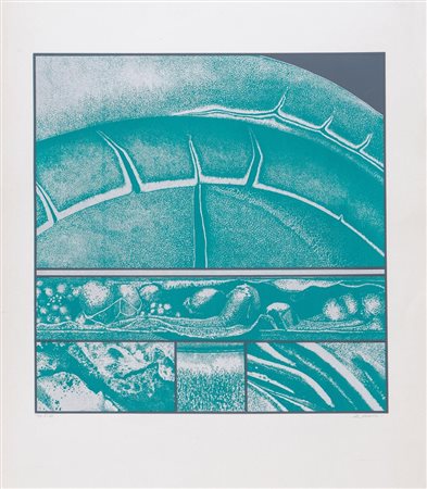 CARLO ZAULI (Faenza 1926 - 2002) "Senza titolo". Litografia a colori su...