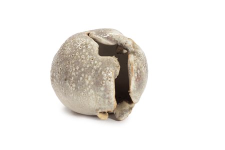 Carlo Zauli (Zaenza 1926-2002)  - Sfera piccola