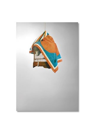 Michelangelo Pistoletto "La gabbia" 1970
serigrafia su acciaio lucidato a specch