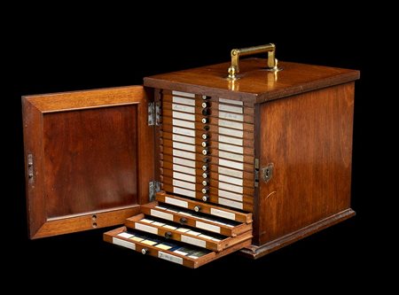 CASSETTIERA CAMPIONARIO IN LEGNO