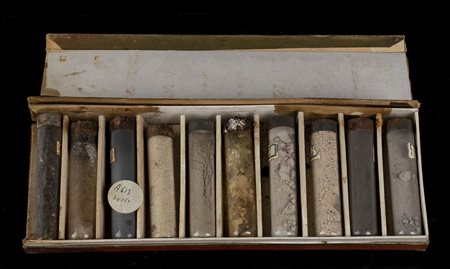 ASTUCCIO CON SEMI E TERRE