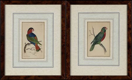 DUE QUADRI VOLATILI (CORNICE IN RADICA)