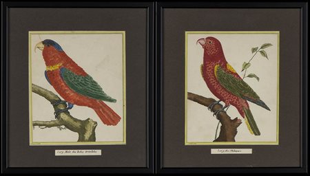 DUE QUADRI VOLATILI (CORNICE NERA)