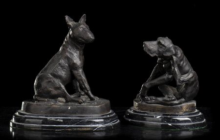 COPPIA CANI (BULL-BRACCO)