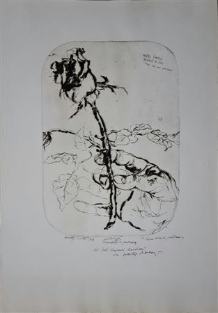 Walter Piacesi - La rosa, 1973