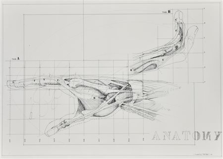 Sebastiano Trovato Anatomy tecnica mista su carta, cm 50x70 firma, titolo e...