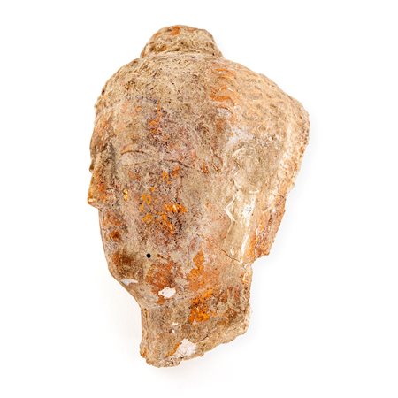 Antica testa di Buddha in stucco, arte del Gandhara