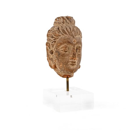 Piccola testa di Buddha in terracotta, arte del Gandhara