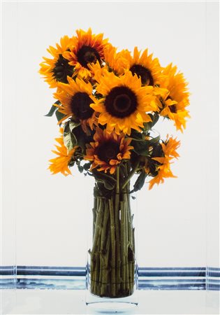 MARC QUINN, Frozen sunflowers, 2000