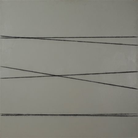 PAOLO COTANI, senza titolo, 2009