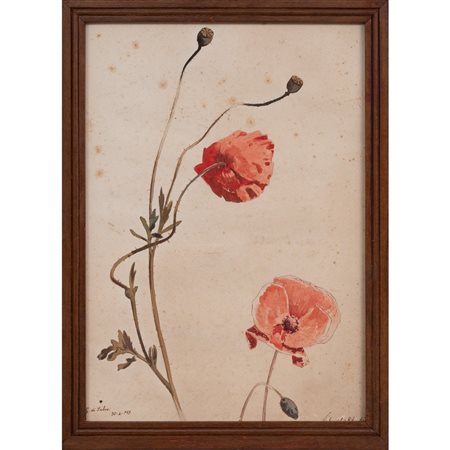 G. DI SALVO, Acquarello su carta