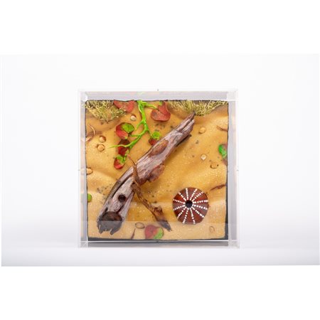 PIERO GILARDI, Pittoscultura, Poliuretano dipinto