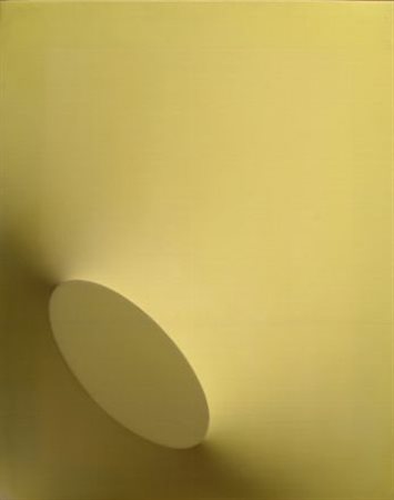 Turi Simeti (Alcamo, 1929) Senza titolo, 1968 Tela in pvc estroflessa, cm....