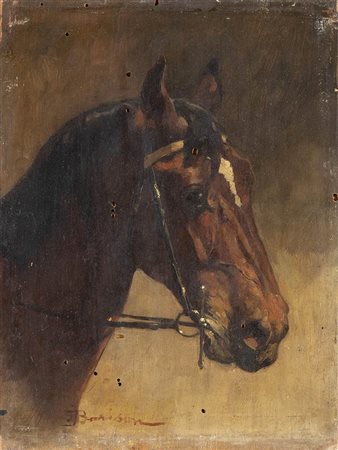 GIUSEPPE BARISON (Trieste 1853 –1931)
: Testa di cavallo