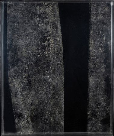 Maria Elisabetta Novello, Senza titolo